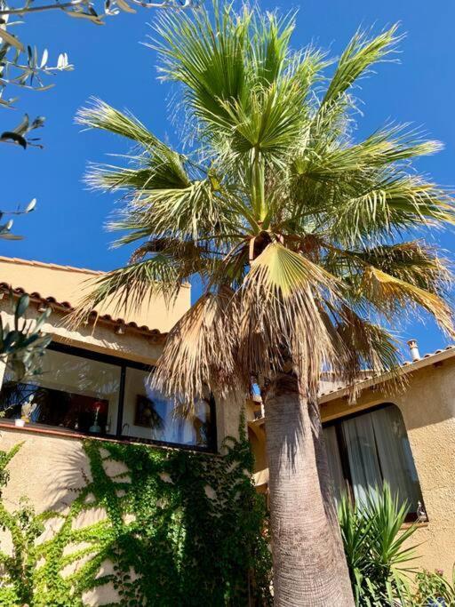 Charmante Villa Avec Une Ame. Pignan Extérieur photo