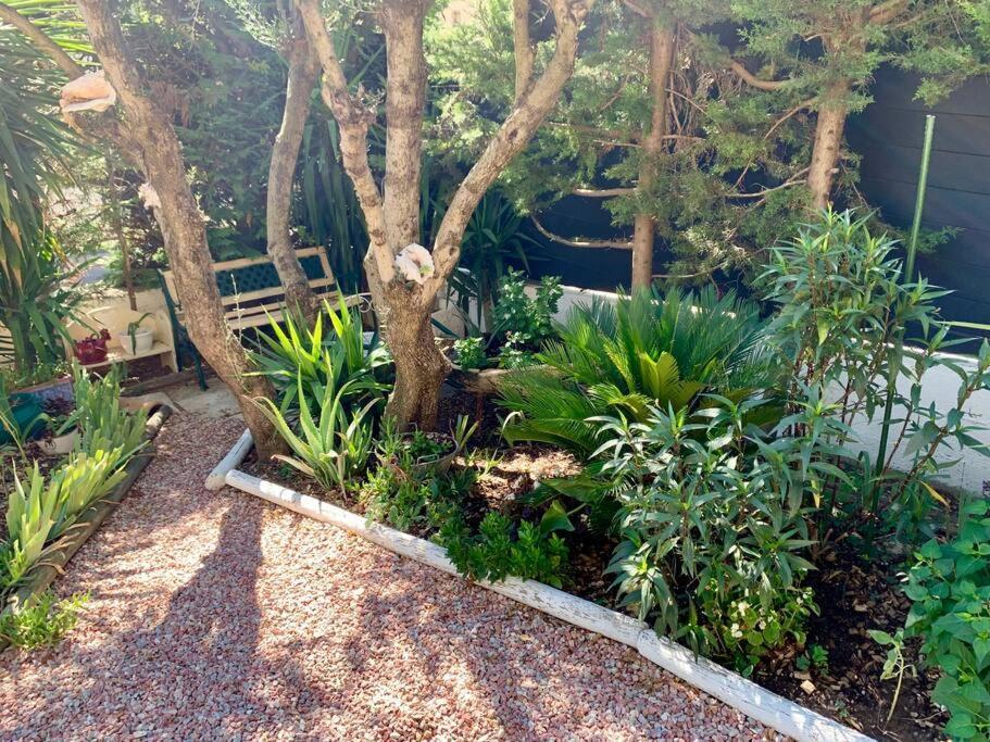 Charmante Villa Avec Une Ame. Pignan Extérieur photo