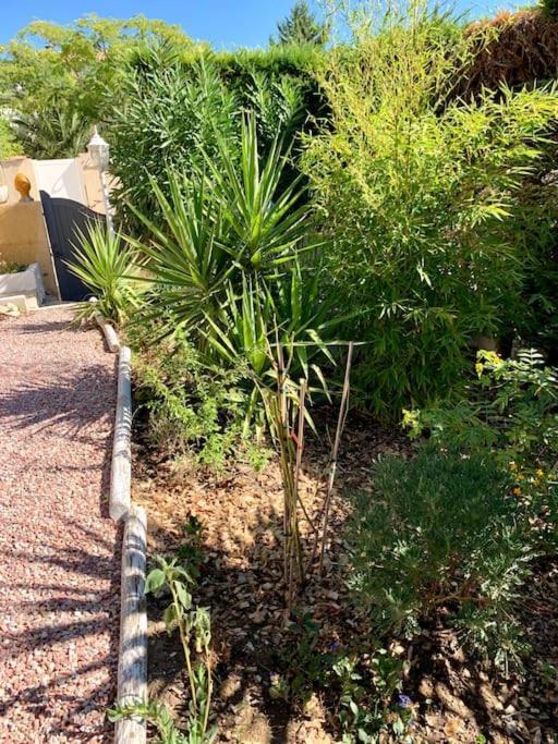 Charmante Villa Avec Une Ame. Pignan Extérieur photo